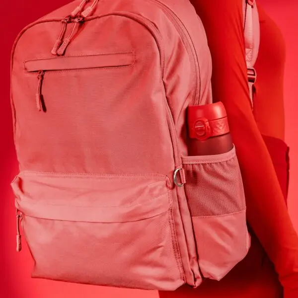 Zestaw Ion8® Zebra Fan 3